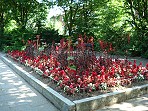 Blumenbeete in Garath 001 a