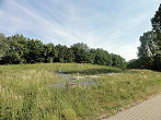 DSC01938 a