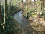 Herbst (11) a