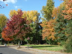 Herbst (27) a